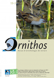 couverture Revue Ornithos n°19-5